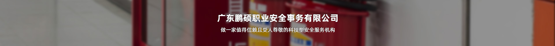 廣東鵬碩職業(yè)安全事務(wù)有限公司